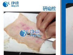 研磨豬皮提純細(xì)胞采用浸入式液氮冷凍研磨儀處理效果